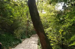 Hall Of Infinity