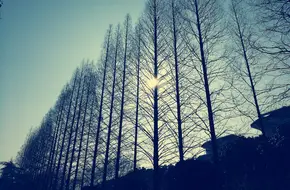Zhongyuan Playground