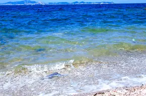 Moon Bay
