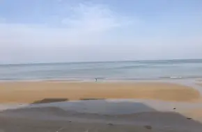 LiuShang Bar