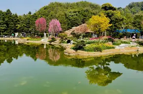 Taishiya Forest Park