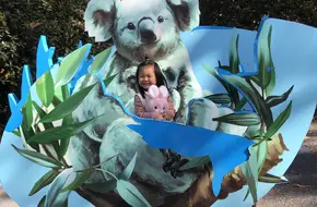 Hongshan Forest Zoo Koala Pavilion