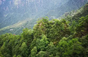 Mingfei Seven Peaks