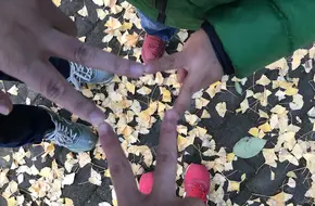Qingliang Mountain Park - Ginkgo Valley