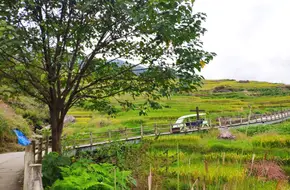 Longji Old House