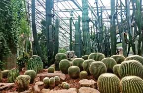 Nanjing Zhongshan Botanical Garden