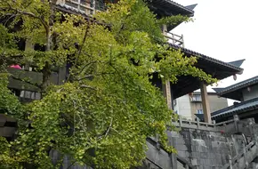Imperial Palace Of The Qin Dynasty