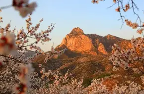 Five Lotus Peaks