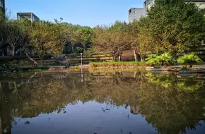 Chongqing Industrial Vocational And Technical College