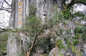 Camel Hump Gate