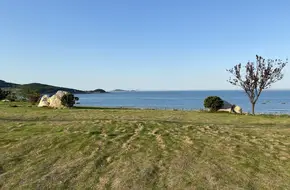 Wanghaimen