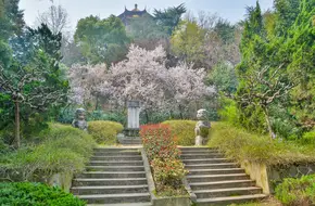 Tomb Of Fang Xiaoru