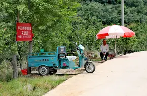 Fujiabu Mountain Fruit Sightseeing Orchard