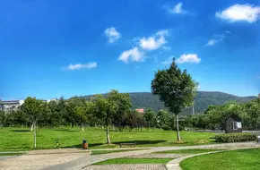 The Former Site Of The Central Sports Stadium