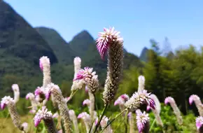 Jinzhong Mountain Hot Spring
