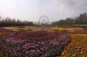 Yufa Tianyuan Water Park