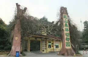 HongShan Forest Zoo
