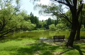 West Tianmu Mountain Scenic Area