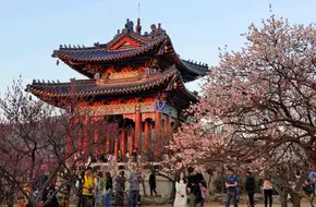 Meihua Mountain