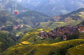 Golden Buddha Peak Observation Point