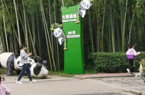 China Bamboo Expo Garden-Anji Giant Panda Pavilion