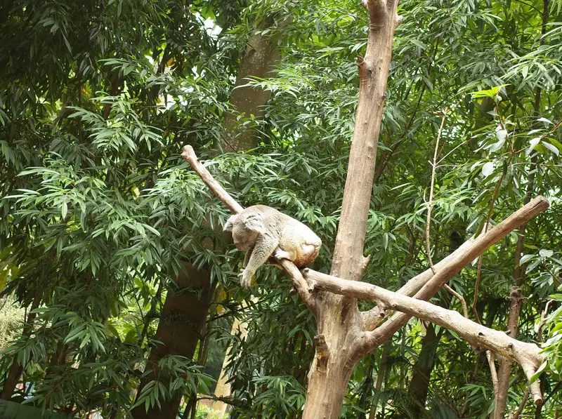 Chimelong Safari Park Guangzhou - Tyrannosaurus