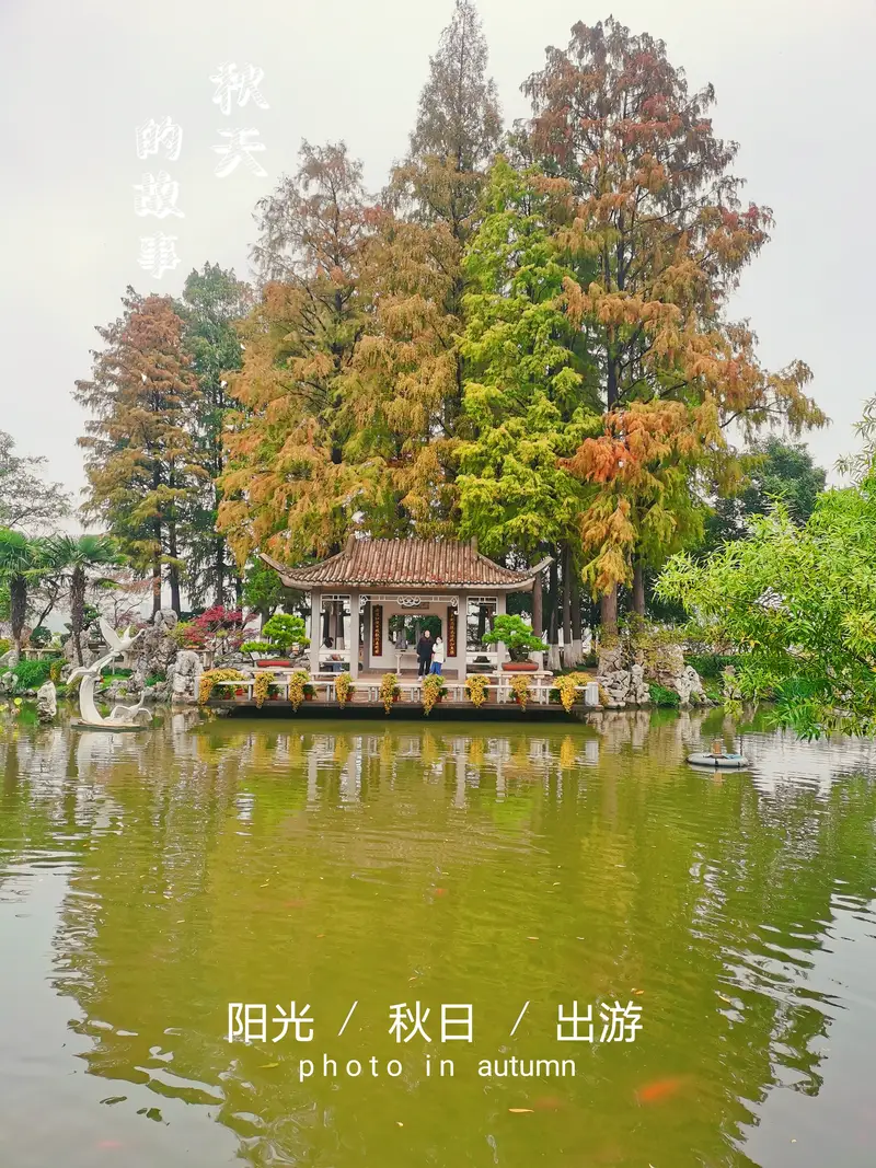 Xuanwu Lake Park - Jinling Bonsai Garden