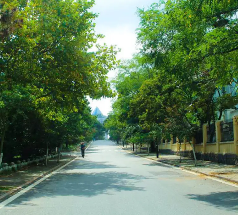 Hangu Pass Road