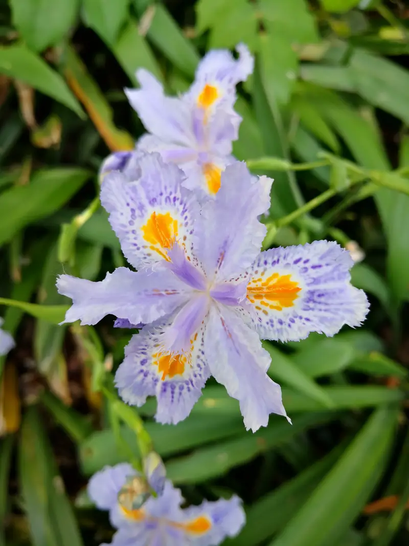 Nanjing Flower Park