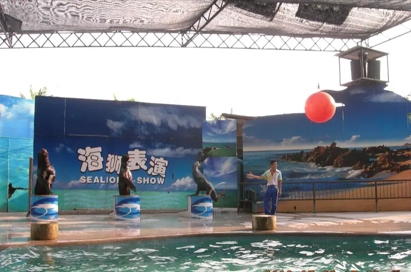 Chimelong Bird Kingdom - Flight Of The Birds