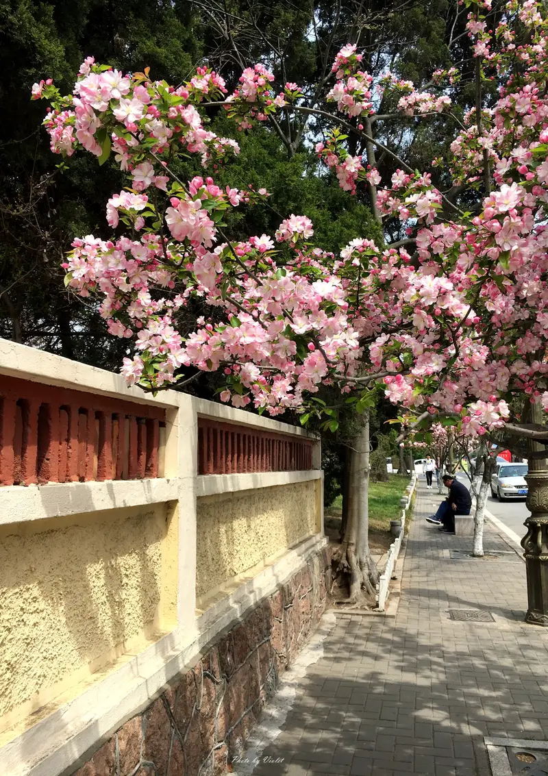 Jiayuguan Road