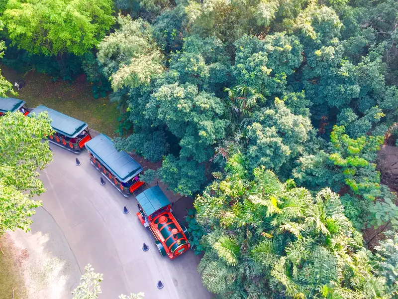 Chimelong Mini Train