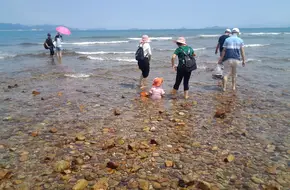 Yangmeikeng Shanhai Tianrantan Farmhouse Entertainment