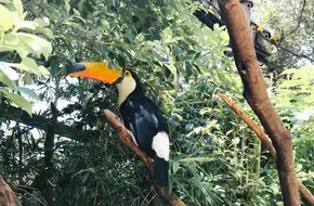 Chimelong Safari Park Guangzhou - Kaka'S Animal Kindergarten