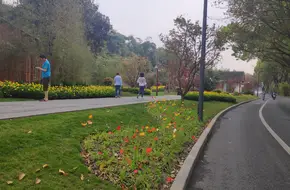 Ge Garden