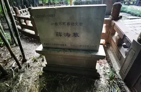 Xuetaomu