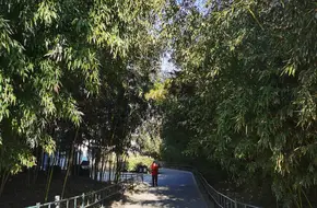 Zizhuyuan Park Ice Rink