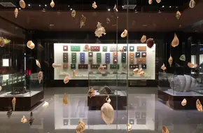 Qingdao Shell Museum