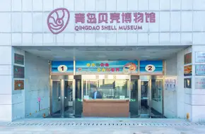 Qingdao Shell Museum