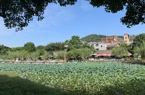 Dongsha Bridge