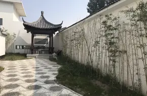 China Celery Museum