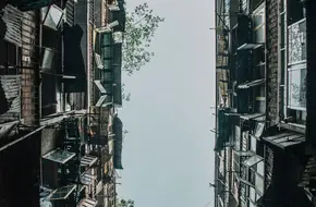 Mandarin Duck Tower