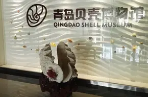 Qingdao Shell Museum