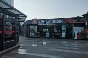 Chengdu ShiYe Natural Museum