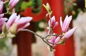 King Wen Mountain Scenic Area