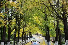 Juyongguan Road