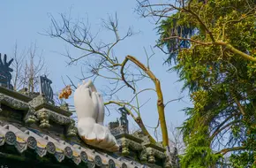 Qianlong Imperial Stele Pavilion