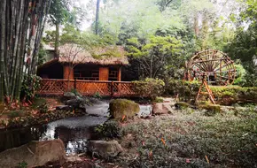 Ge Garden