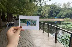 No.11 Shanhaiguan Road