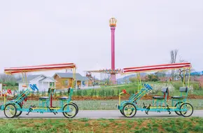 Weiran Flower Sea